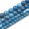 Natural Apatite Beads Strands G-S333-6mm-012-2
