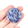Natural Blue Spot Jasper Carved Healing Shell Shape Figurines PW-WG72799-04-1