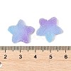 Imitation Candy Food Style Resin Cabochons RESI-R461-02N-3