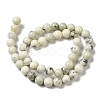 Natural Dendritic Jasper Beads Strands G-H298-A15-03-3