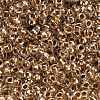 TOHO 3/0 Round Beads SEED-TR03-0989-3