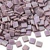 MIYUKI TILA Beads X-SEED-J020-TL410FR-4