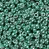 TOHO Round Seed Beads X-SEED-TR08-0561-2