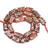 Natural Red Leopard Skin Jasper Beads Strands G-A314-A05-01-3