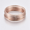 Steel Memory Wire TWIR-R006-0.6x60-RG-NF-2