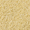 MIYUKI Delica Beads X-SEED-J020-DB1287-3