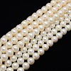 Natural Cultured Freshwater Pearl Beads Strands PEAR-L001-I-13-1