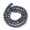 Natural Sapphire Beads Strands G-F748-M01-04-3