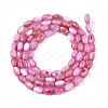 Freshwater Shell Beads Strands SHEL-T009-B15-03-2