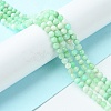 Natural Chrysoprase Beads Strands G-F748-X01-03A-2