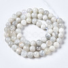 Natural White Moonstone Beads Strands G-N328-51A-01-3