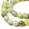 Natural Yellow Mustard Jasper Beads Strands G-Q462-8mm-39-3