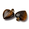 Natural Tiger Eye Pendants G-G287-01G-06-2