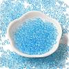 Transparent Colours Glass Seed Beads SEED-P007-02A-10-2