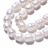 Natural Cultured Freshwater Pearl Beads Strands PEAR-N012-07C-4