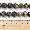 Natural Astroite Jasper Beads Strands G-F814-A01-10mm-5