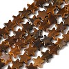 Natural Tiger Eye Beads Strands G-F817-A06-01-3