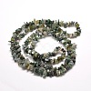 Natural Moss Agate Chip Bead Strands G-M205-45-2