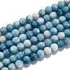 Natural Gemstone Beads Strands G-L367-01-8mm-4