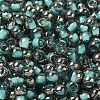 Transparent Inside Colours Glass Seed Beads SEED-H002-A-C222-3