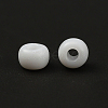 10 Style 12/0 & 8/0 Round Transparent & Silver Lined Round Hole & Trans & Opaque Colours Seed & Ceylon Glass Seed Beads SEED-YW0001-35-7