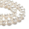 Natural Cultured Freshwater Pearl Beads Strands PEAR-F007-19-4