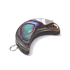 Natural Abalone Shell/Paua Shell Pendants PALLOY-JF02701-02-4