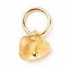 7Pcs 7 Styles Natural Stone Chip Charms PALLOY-JF01485-01-3
