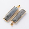 Faceted Rectangle Natural Labradorite Pendants X-G-M294-08-2