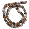 Natural Botswana Agate Beads Strands G-NH0015-C03-01-3