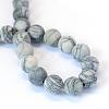 Frosted Natural Black Silk Stone/Netstone Round Bead Strands G-E334-6mm-25-3