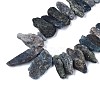 Natural Kyanite/Cyanite/Disthene Quartz Beads Strands G-R432-09-3