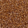 MIYUKI Delica Beads SEED-JP0008-DB1734-3