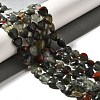 Natural African Bloodstone Beads Strands G-R190-10mm-56-1