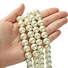 Eco-Friendly Dyed Glass Pearl Round Beads Strands HY-A002-12mm-RB011-4