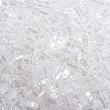 MIYUKI Quarter TILA Beads SEED-MY05-QTL160-4