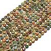 Natural Picasso Stone/Polychrome Jasper Beads Strands G-C116-A84-02-2