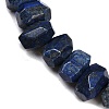 Natural Lapis Lazuli Beads Strands G-F796-D03-01-4