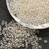 6/0 Transparent Glass Round Seed Beads X-SEED-J010-F6-21-1