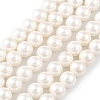 Shell Pearl Bead Strands X-BSHE-L026-03-6mm-2