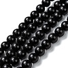 Natural Black Onyx Beads Strands G-Z024-01B-1