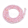 Natural Freshwater Shell Beads Strands X-BSHE-T009A-01C-2
