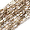 Natural Freshwater Shell Beads Strands SHEL-K006-78B-1