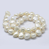 Natural Cultured Freshwater Pearl Beads Strands PEAR-K004-04D-2