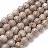 Natural Fossil Coral Beads Strands G-F563-02-10mm-1