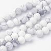 Natural Howlite Bead Strands G-G735-66F-8mm-1