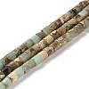 Natural Aqua Terra Jasper Beads Strands G-F765-F03-01-1
