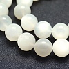 Natural White Moonstone Beads Strands G-P342-02A-12mm-A-3