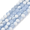 Frosted Crackle Glass Beads Strands GLAA-U001-6mm-M14-1