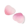 Imitation Candy Food Style Resin Cabochons RESI-R461-01G-2